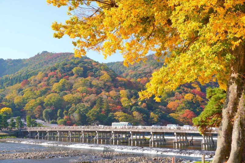 京都嵐山紅葉一日遊