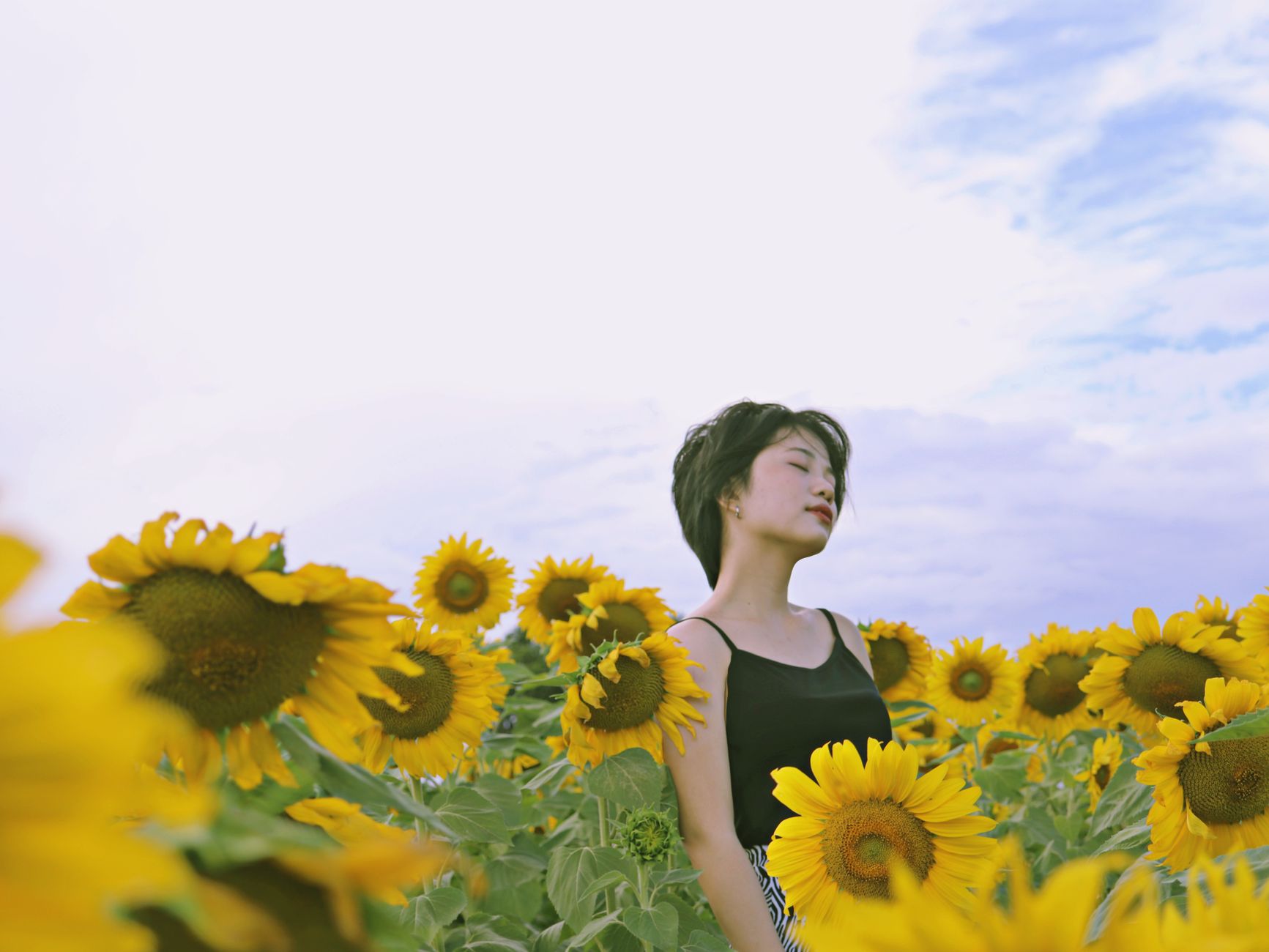 a woman in black spaghetti strap top standing on a sunflower field under blue sky