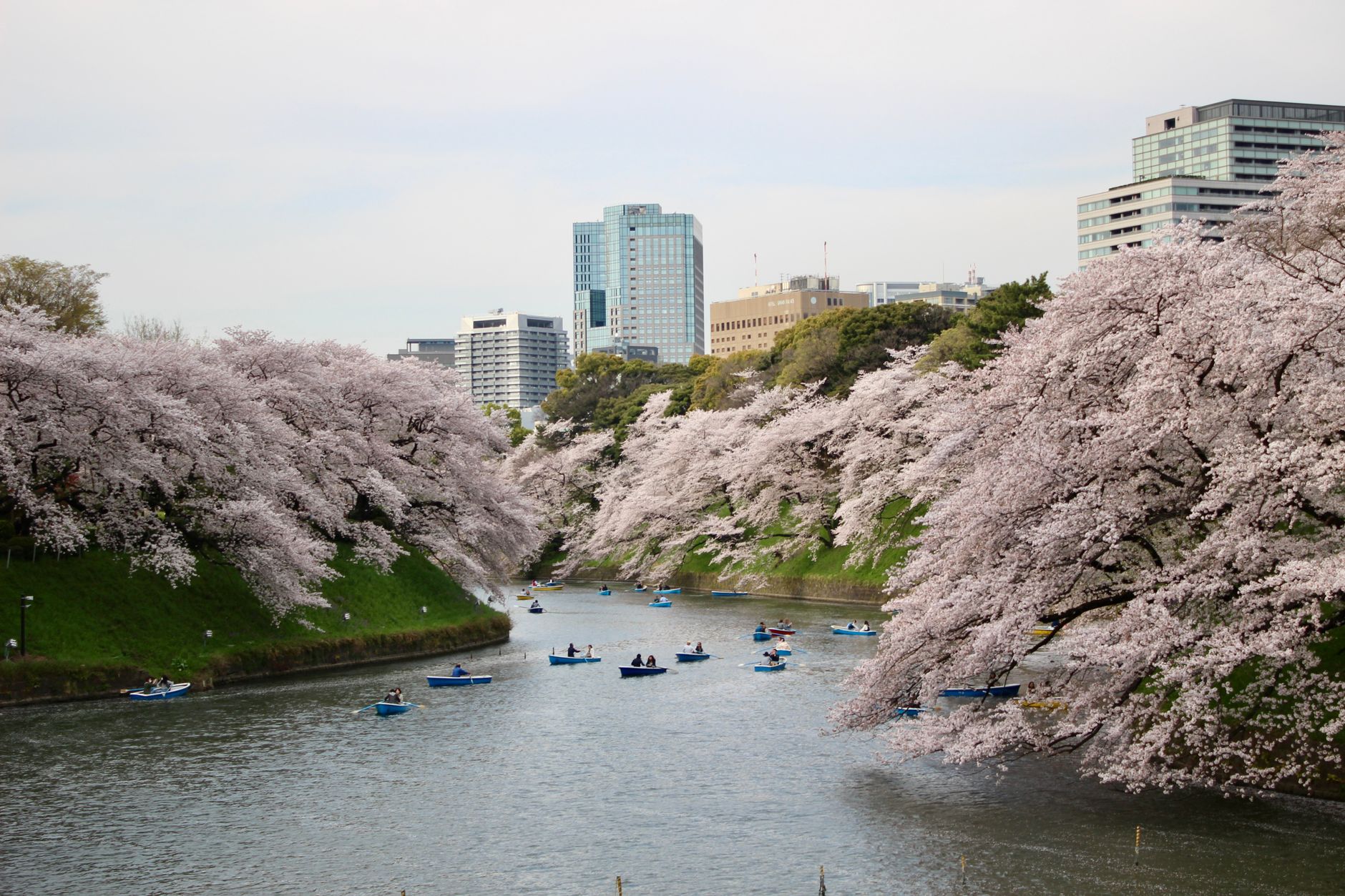 boats on lake at chidorigafuchi park in chiyoda city