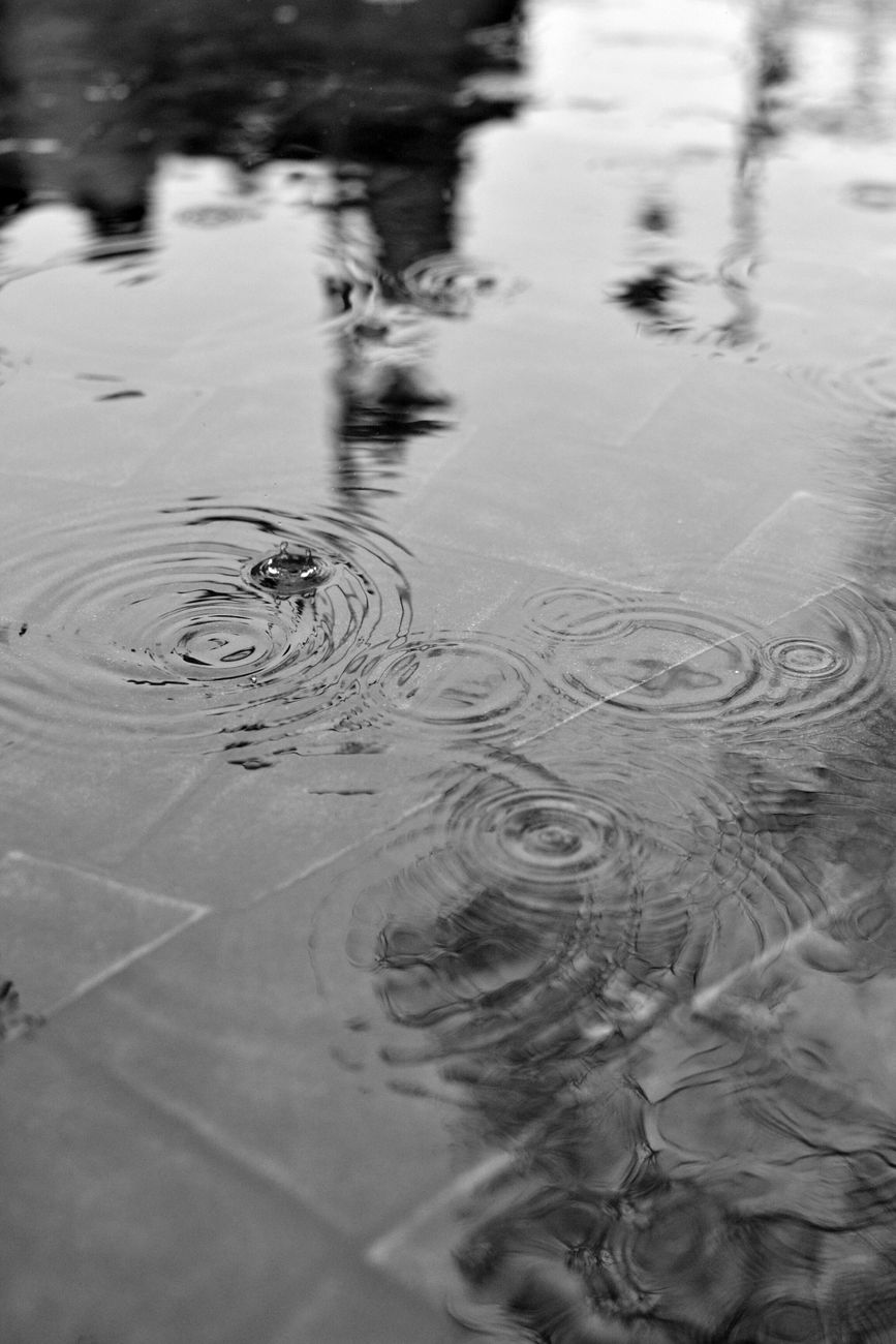 ripples in the water